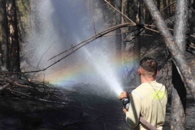 150 Hektar Kül Oldu