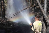 150 Hektar Kül Oldu