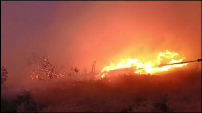 Bilecik ve Bursa'daki yangınlar kontrol altında