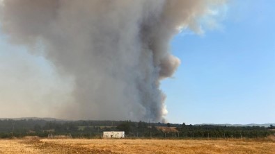 Çanakkale'deki Yangin Söndürme Çalismalarina TSK'dan Destek