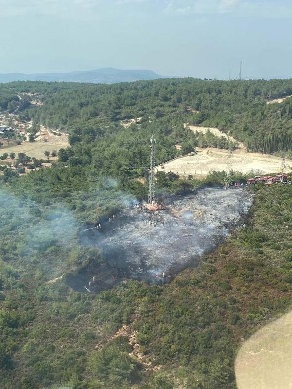 İzmir'de orman yangını!