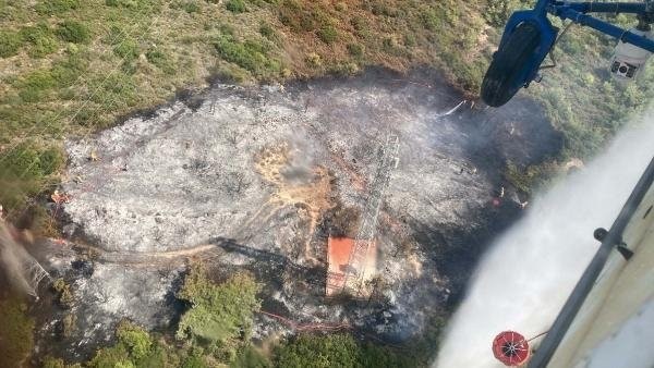 İzmir'de orman yangını!