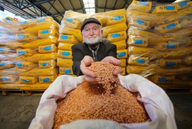 Kocaeli'de 4 Bin Çiftçiye Tohum Destegi