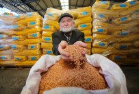 Kocaeli'de 4 Bin Çiftçiye Tohum Destegi