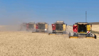Sivas'ta Tritikale Üretiminde Rekor Kirildi