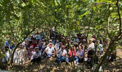 Düzce Organik Findik Üretiyor