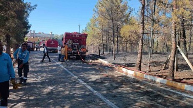 Gaziantep'te Orman Yangini