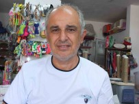 Balikesir'de Briç Festivalleri Basladi