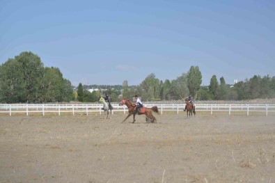 Malazgirt Zaferi'nin 952. Yil Dönümü Coskuyla Kutlanmaya Devam Ediyor