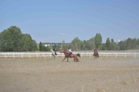 Malazgirt Zaferi'nin 952. Yil Dönümü Coskuyla Kutlanmaya Devam Ediyor