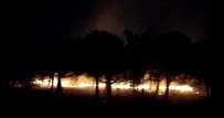 Maltepe'de Orman Yangini Açiklamasi Ekiplerin Müdahalesi Sürüyor