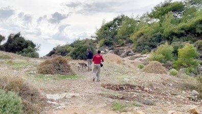 Sedanur'dan 275 Gündür Haber Alinamiyor