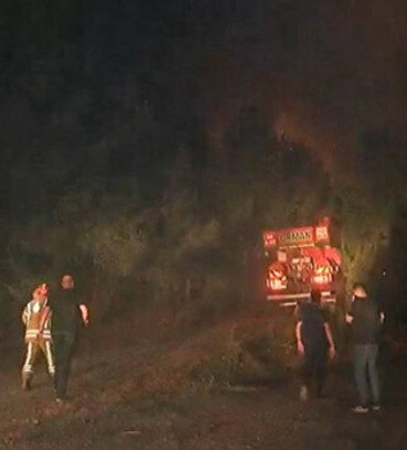 İstanbul Maltepe'de orman yangını