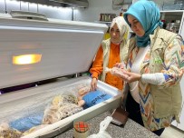 81 Ilde Üç Hafta Boyunca Yapilacak