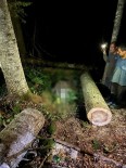 Kestigi Agacin Altinda Kalan Orman Isçisi Hayatini Kaybetti Haberi