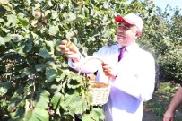 632 Bin Hektar Alanda Üretimi Yapiliyor