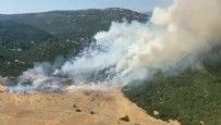 Antalya'da orman yangını! Ekipler müdahale ediyor...