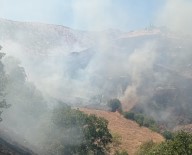 Malatya'da Orman Yangini