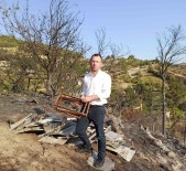 Orman Yangini, 10 Yillik Emegi Yakti Binlerce Arisi Telef Oldu