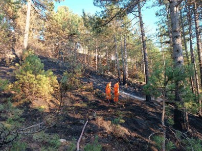 Örtü Alti Yangininda 2,5 Dönüm Alan Zarar Gördü