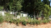 Trabzonlu Artik Evinin Yakinina Defin Yapmak Yerine Mezarliklara Defin Yapiyor Haberi