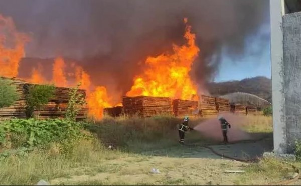 Kastamonu'da kapı fabrikası alev alev yandı