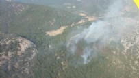 İzmir'de orman yangını başladı! Ekipler seferber oldu