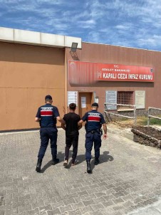 18 Yasindaki Suç Makinesi Manisa'da Jandarmaya Yakalandi