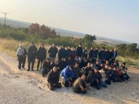 Edirne'de Bulgaristan'a Geçmeye Çalisan 53 Göçmen Yakalandi