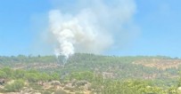 Muğla’da orman yangını