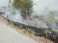 Tekirdag'da Agaçlik Alan Kül Oldu