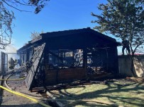 Çatalca'da 150 Dönümlük Alanin Kül Oldugu Yanginda Tavuklar Son Anda Kurtarildi