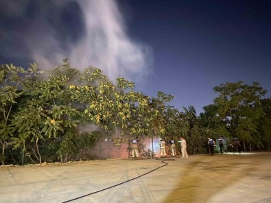 Veliefendi Hipodromu Önündeki Yanginda Kundakçi Süphesi Açiklamasi Hipodromun Karsisindaki Iki Ayri Noktada Yangin