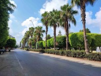 Adana Terk Edilmis Sehre Döndü