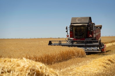 Yerli Üreticiye Global Destek