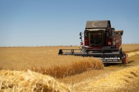 Yerli Üreticiye Global Destek