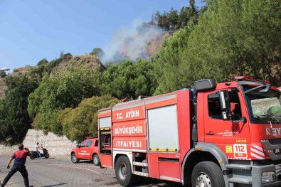 Aytepe Mesire Alaninda Yangin