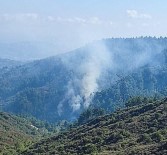 Hatay'da Orman Yangini