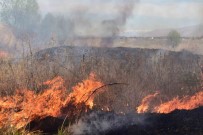 Malatya'da Orman Yangini