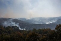 Yunanistan'daki orman yangınında 14. gün: Havadan müdahalede zorlanılıyor