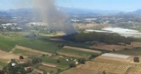 Antalya'da orman yangını!