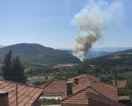 Soma’da orman yangını!