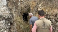 Adıyaman'da bulundu: Tam 1700 yıllık!