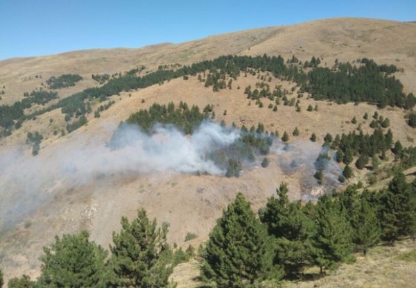 Isparta'da orman yangını! 5 dekar zarar gördü...