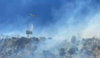 Aydın'da ağaçlık alanda yangın!