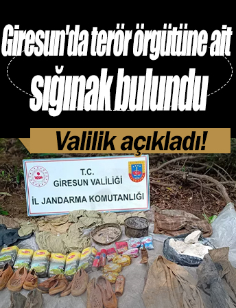 Valilik açıkladı! Giresun'da terör örgütüne ait sığınak bulundu