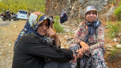 Antalya'da orman yangını çıktı