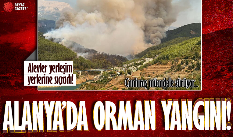 Antalya'da orman yangını çıktı