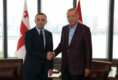 Cumhurbaskani Erdogan, Gürcistan Basbakani Garibashvili'yi Kabul Etti