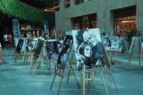 30. Uluslararasi Adana Altin Koza Film Festivali'nde Fotograf Sergisi Haberi